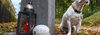 Der Friedhof "Unser Hafen" in Braubach wo sich Mensch und Haustier in einem gemeinsamen Urnengrab bestatten lassen können. Foto: epd