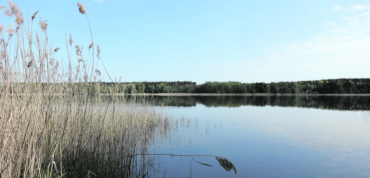 Storkower See in Brandenburg